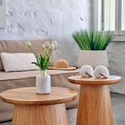 Stagones Paros Luxury Villas
